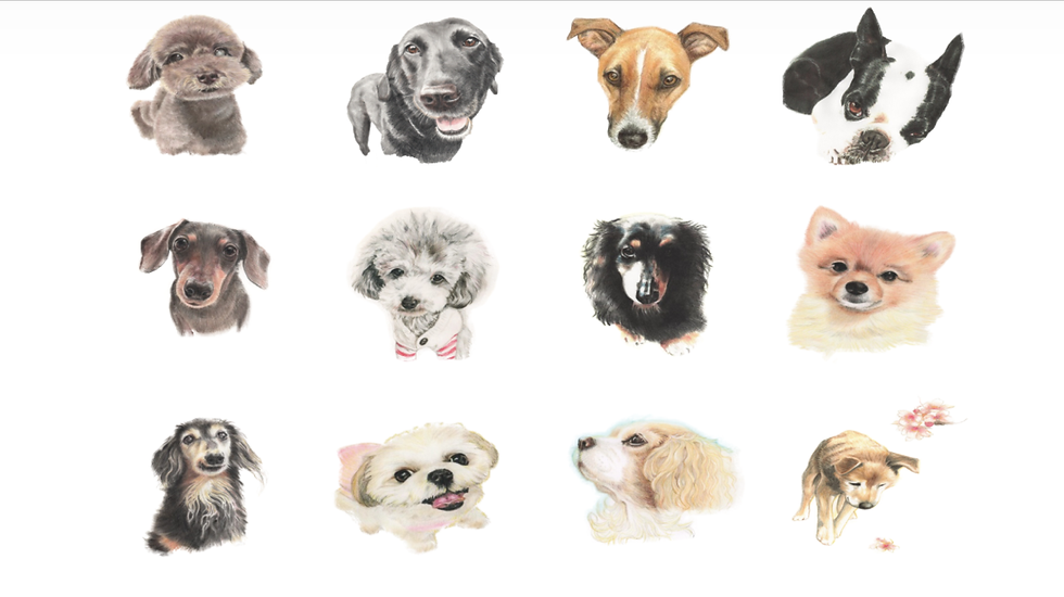 image3 (1).PNG