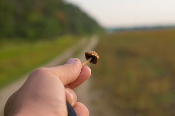 AdobeStock_176085743.jpeg