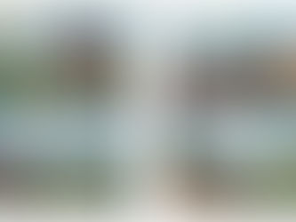 第一款豆子 – Ilam Carbonic Maceration Natural豆「喜馬拉雅的果香,農民的用心」