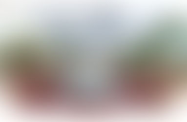 第五款豆子 – Taplejung Thermal Shock Bourbon豆「喜馬拉雅的實驗，農民的創新」