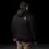 Thumbnail: Bad Quest Parka Jacket