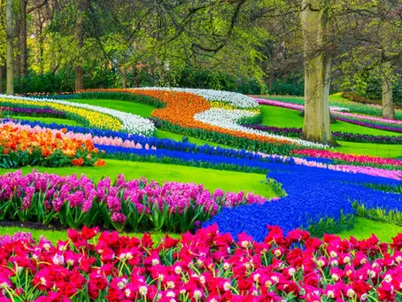 Keukenhof Gardens, near Lisse, Netherlands