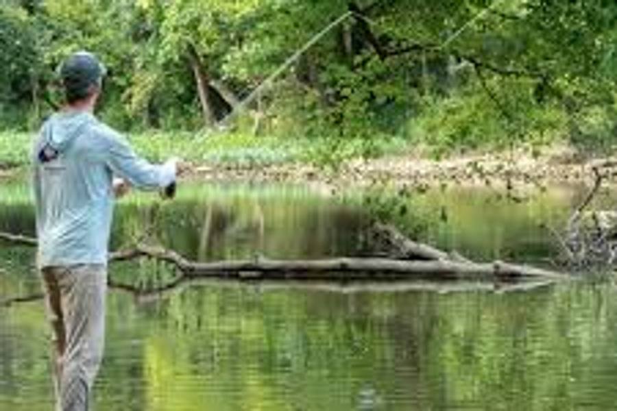 Fly fishing a quiet mountain trout stream