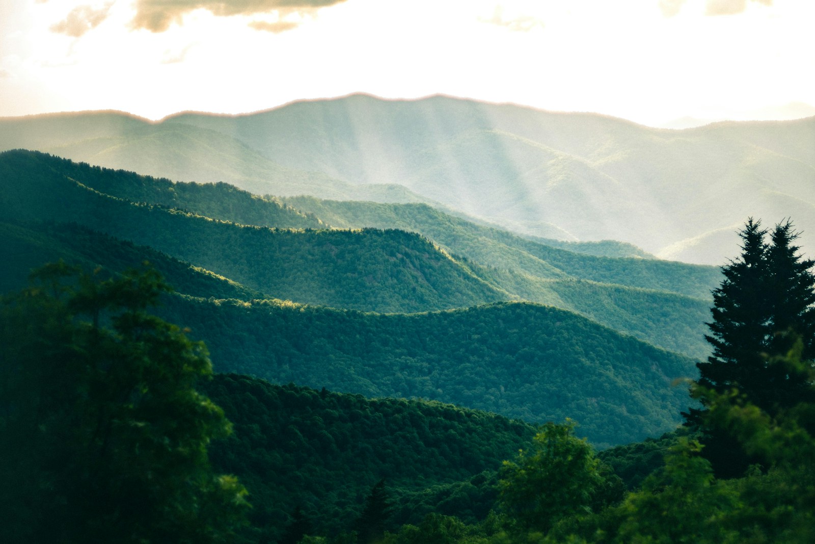 Looking out over the Blue Ridge from Mount Jefferson