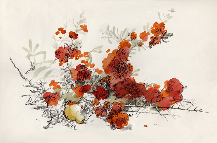 Колючая ягода