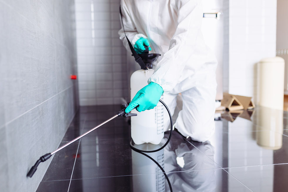 Pest control technician spraying baseboards