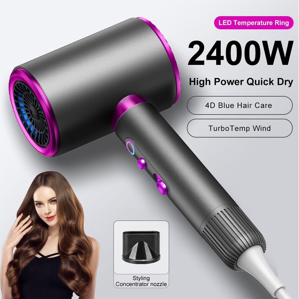 AirSilk Pro Dryer