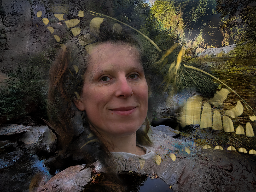 Gaia in Het land van Lincei