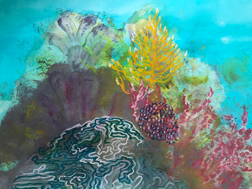 Coral Stories
