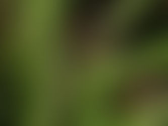 【重要】エントリー期間短縮のお知らせ