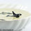 Thumbnail: Orca Pod in a Soap Dish