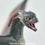Thumbnail: Realistic Wyvern-Style Dragon - Black and Red Dragon - Custom Made-to-Order