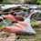 Thumbnail: Realistic Wyvern-Style Dragon - Grey and Coral Dragon - Custom Made-to-Order