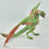 Thumbnail: Realistic Wyvern-Style Dragon - Green and Bronze Dragon - Custom Made-to-Order