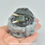 Thumbnail: Mini Radiant Dragon with Dragon Nest - Green Dragon - IN STOCK and Ready to Ship