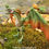 Thumbnail: Realistic Wyvern-Style Dragon - Green and Bronze Dragon - Custom Made-to-Order