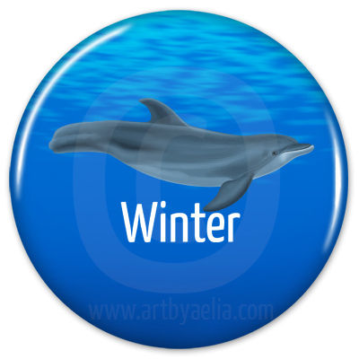 Dolphin Button or Keychain - Winter without Prosthetic