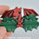 Thumbnail: Berry Red Holly Dragon Necklace - IN STOCK