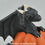 Thumbnail: PRE-ORDER - Black Pumpkin Dragon