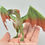 Thumbnail: Realistic Wyvern-Style Dragon - Green and Bronze Dragon - Custom Made-to-Order