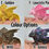 Thumbnail: Axolotl Dragon Sculpture - Pose 1 - PRE ORDER in Your Choice of Colours!