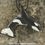 Thumbnail: Painted Resin Makaio Orca Necklace