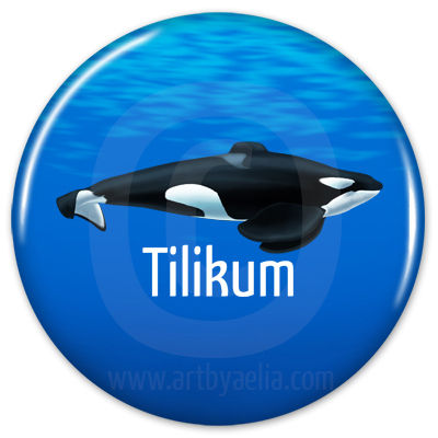 Orca Button or Keychain - Tilikum