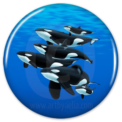 Orca Button or Keychain - Ontario Orcas