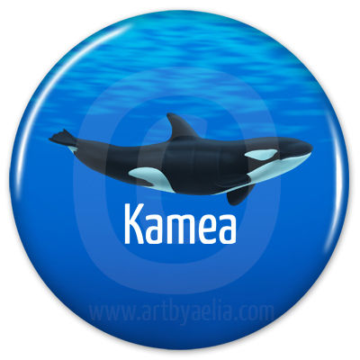 Orca Button or Keychain - Kamea