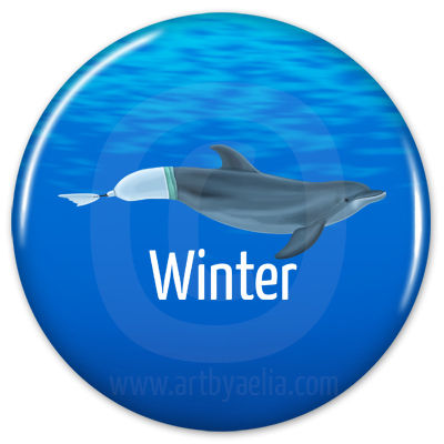Dolphin Button or Keychain - Winter with Prosthetic Tail