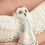 Thumbnail: Hedwig Harry Potter Inspired Snowy Owl Necklace