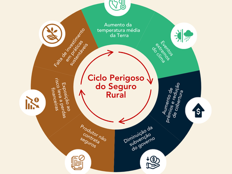 O ciclo perigoso do seguro rural