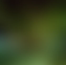 BECOME ALIVE IN THE LAP OF THE MATRIX