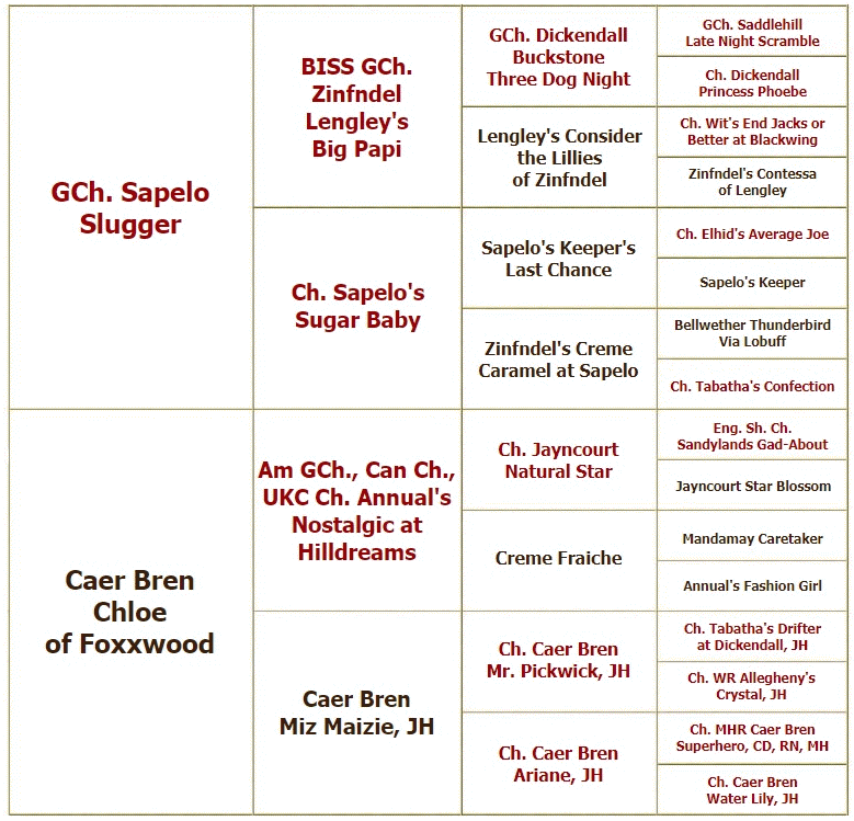 CaerBrenHeathPedigree gif.gif