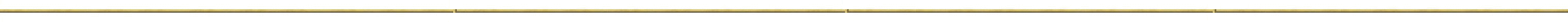 bar thin gold long gif.gif