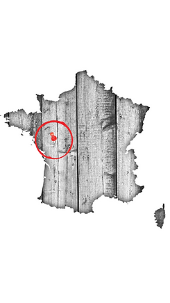 Sans titre.png