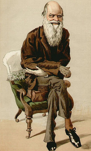 Caricature of Charles Darwin, Tissot. Caption reads "Natural Selection" - 30 Septemer 1871. Public domain image from Wikimedia.
