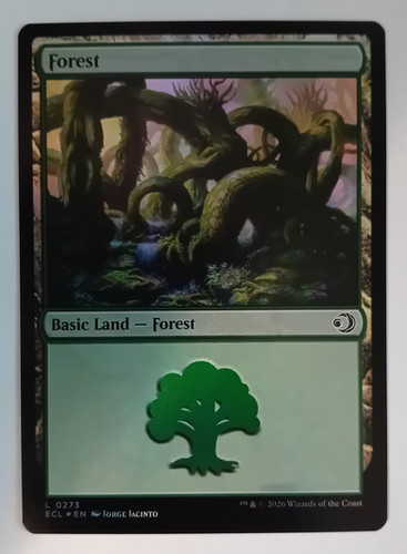 FOIL Forest. 0273. Lorwyn Eclipsed | Iceni Gaming Centre