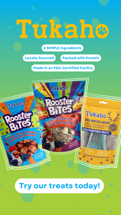 Product feature story post