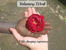 Voluntary Work | 7 Life changing lessons