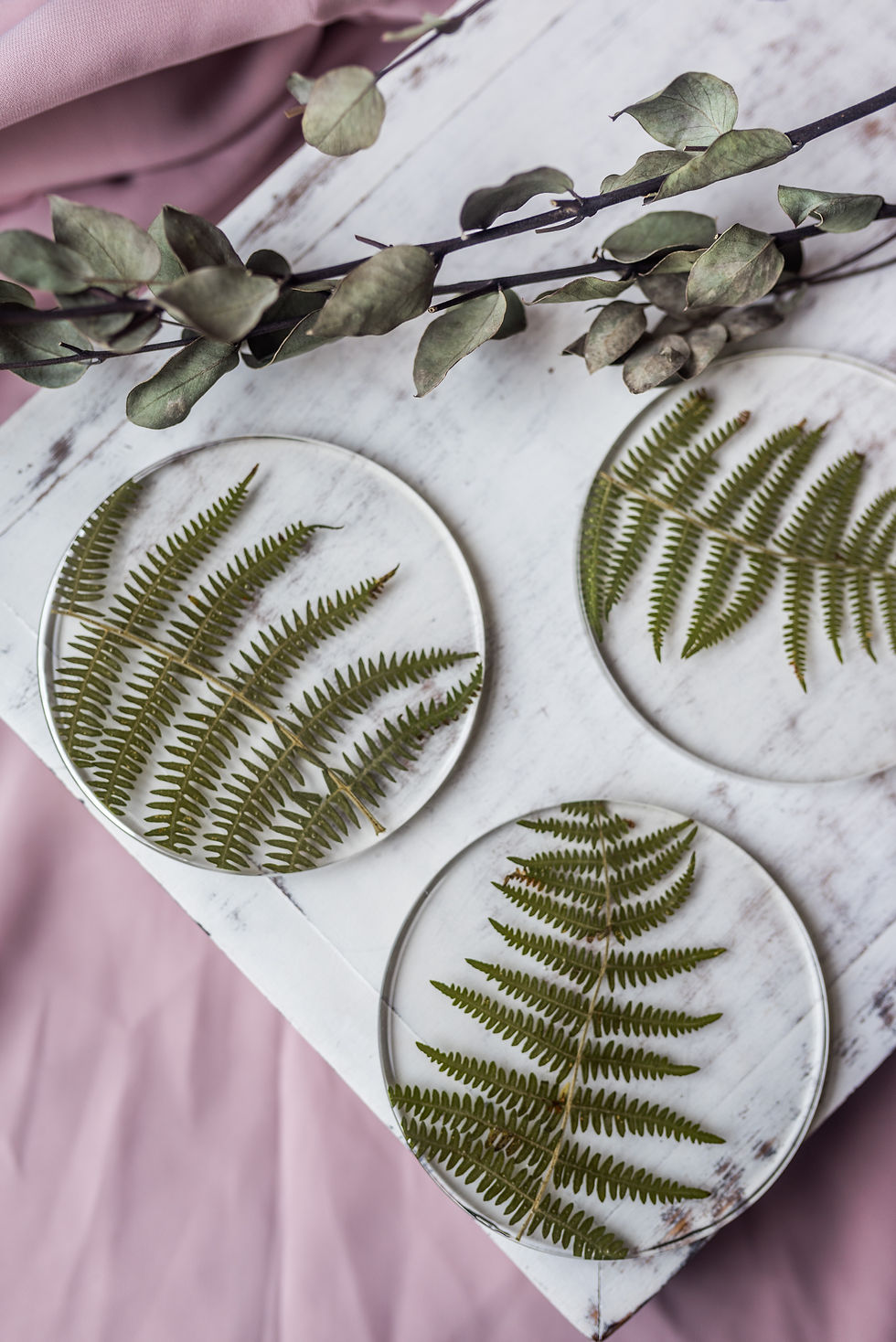 Thumbnail: Fern Coaster