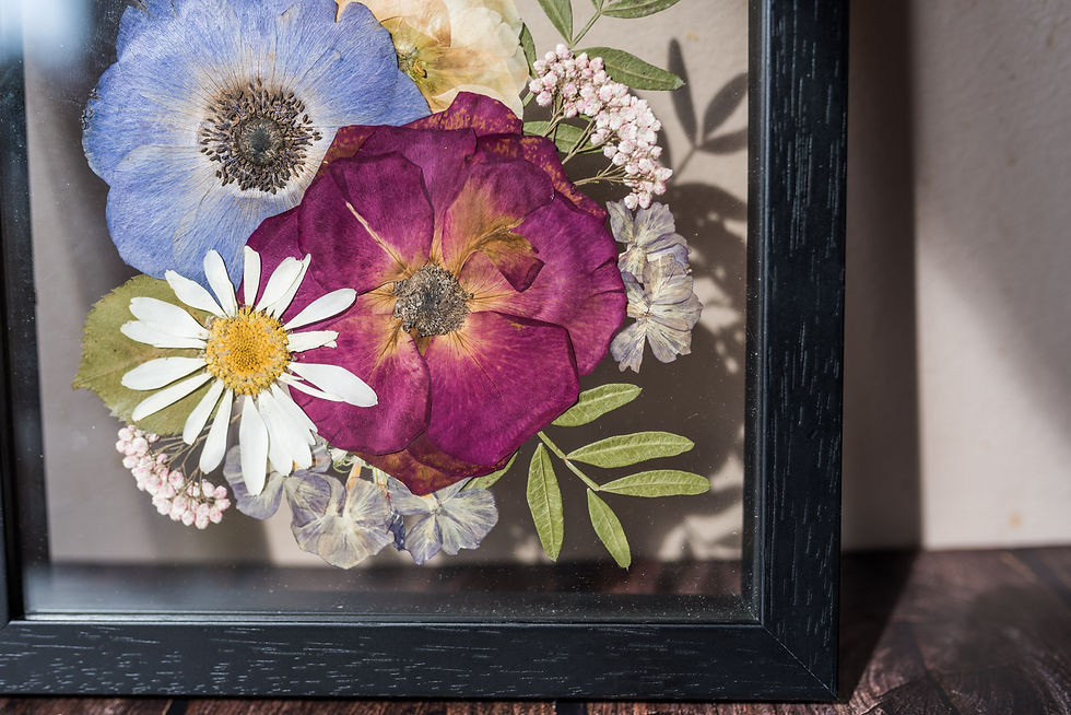 Thumbnail: Botanical Frame 004 // 8"x8"