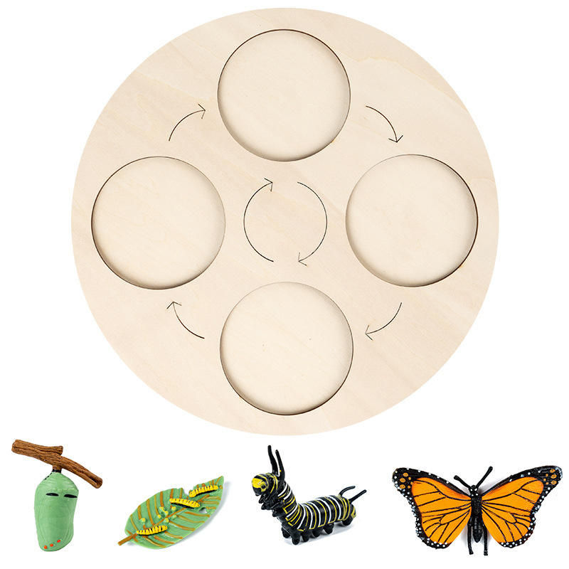 Thumbnail: Life Cycle Boards