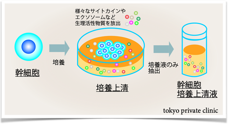 図4.png