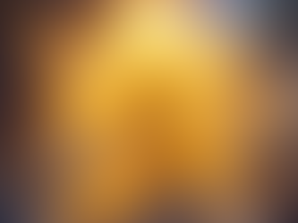 "THE IMAGE AND LIKENESS OF GOD"