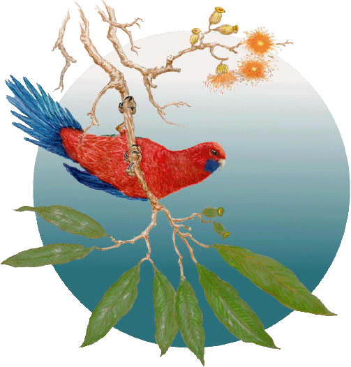The logo for Dr Wayne somerville's property 'Creek's Bend'