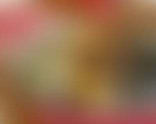 Hoender en mieliekebabs