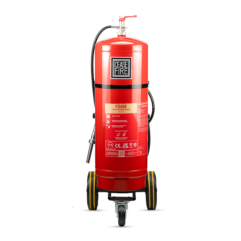 Thumbnail: Foam Based Wheeled Fire Extinguishers