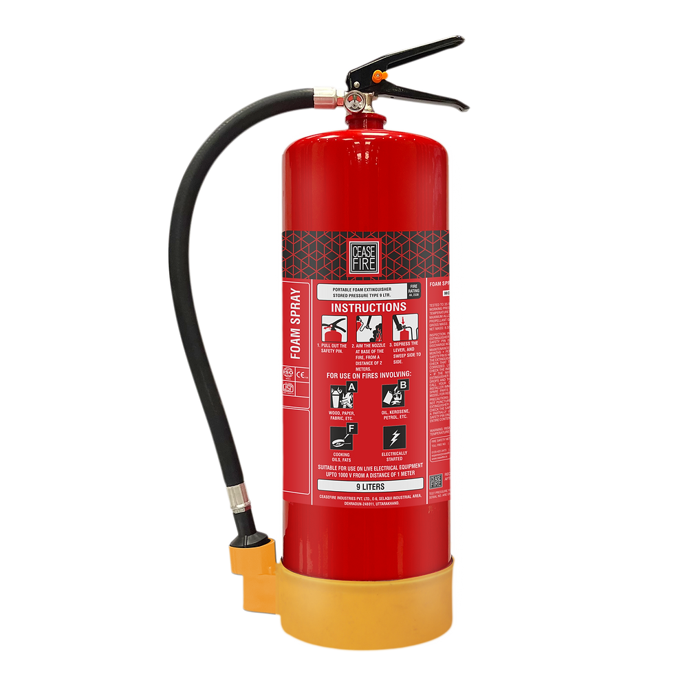 Thumbnail: Foam Portable Extinguishers (Spray Model)