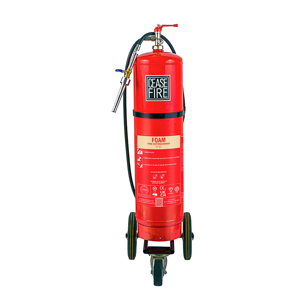 Thumbnail: Foam Based Wheeled Fire Extinguishers